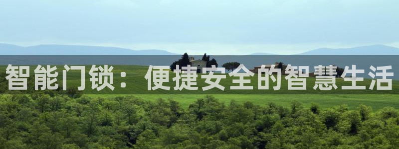利记sbobe官网：智能门锁：便捷安全的智慧生活