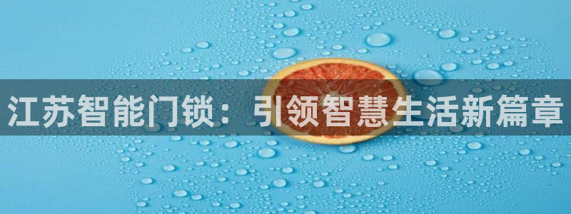 利记官网入口：江苏智能门锁：引领智慧生活新篇章