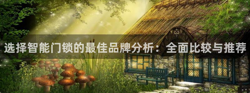 利记88官网app：选择智能门锁的最佳品牌分析：全面比较与推