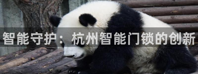 利记官网：智能守护：杭州智能门锁的创新