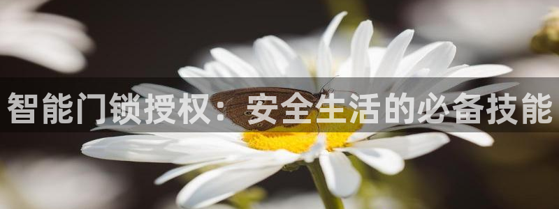 利记官网地址：智能门锁授权：安全生活的必备技能