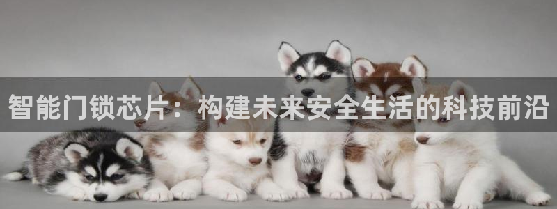 利记官网官方网站：智能门锁芯片：构建未来安全生活的科技前沿