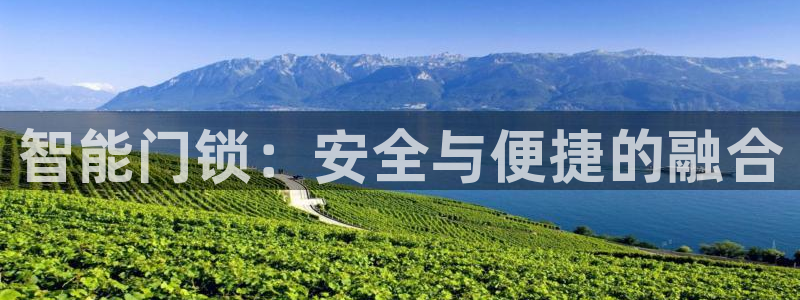 sbotop利记官网：智能门锁：安全与便捷的融合