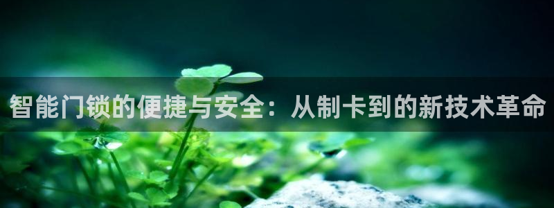 利记游戏开户ysb体育官方官网：智能门锁的便捷与安全：从制卡