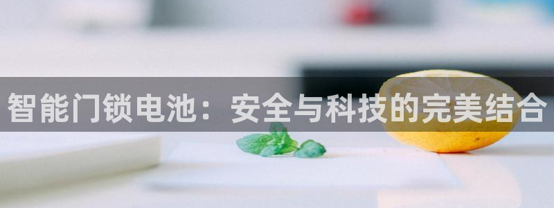 利记官网首页：智能门锁电池：安全与科技的完美结合