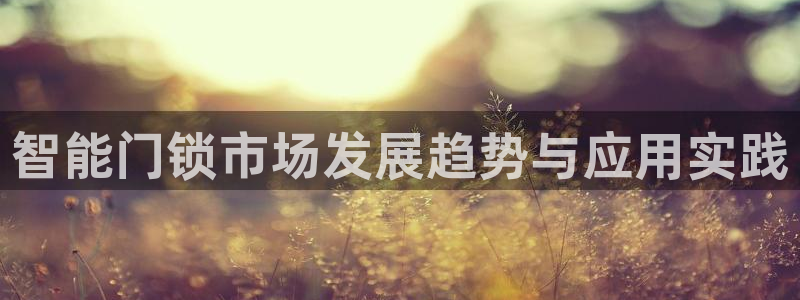 利记买球官网：智能门锁市场发展趋势与应用实践