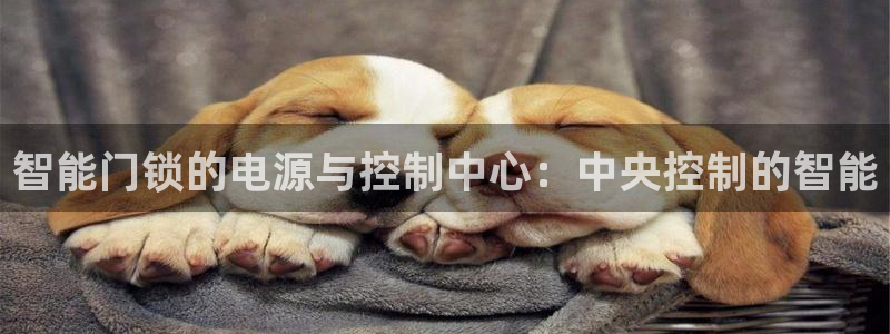 万利记菜单价格查询官网：智能门锁的电源与控制中心：中央控制的