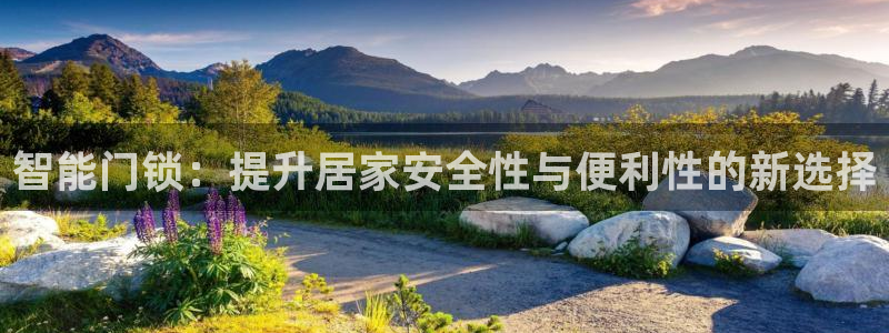 利记广告联盟官网：智能门锁：提升居家安全性与便利性的新选择
