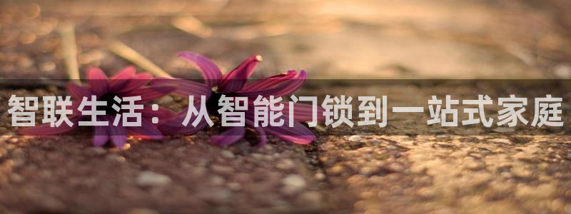 利记官网开户：智联生活：从智能门锁到一站式家庭