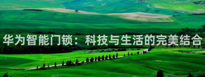 利记国际线址官网：华为智能门锁：科技与生活的完美结合