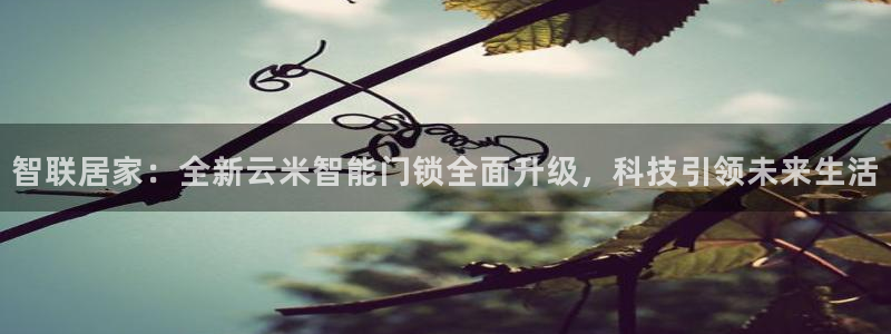 sbo利记体育官网：智联居家：全新云米智能门锁全面升级，科技