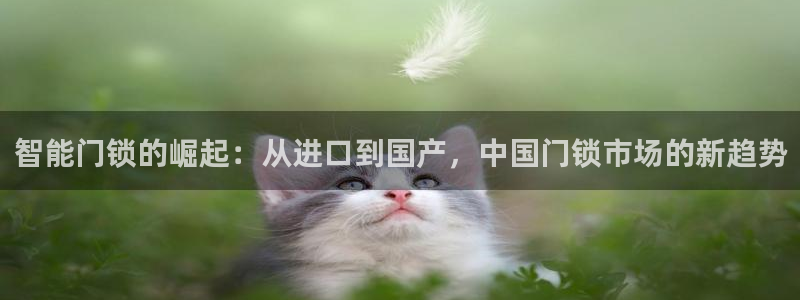 万利记唯一官网：智能门锁的崛起：从进口到国产，中国门锁市场的