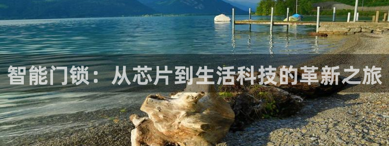 利记官网首页：智能门锁：从芯片到生活科技的革新之旅