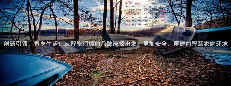 万利记菜单价格查询官网：创新引领，智享生活：从智能门锁的品牌