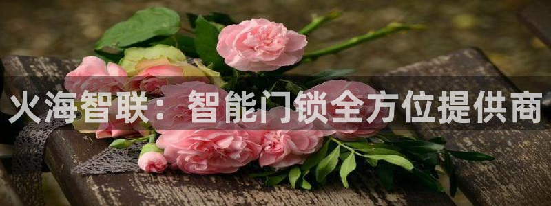 sbotop利记官网：火海智联：智能门锁全方位提供商