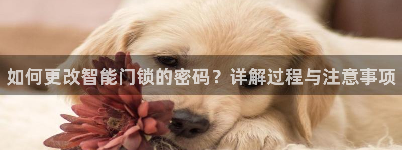 利记彩票导航网址官网hd71：如何更改智能门锁的密码？详解过