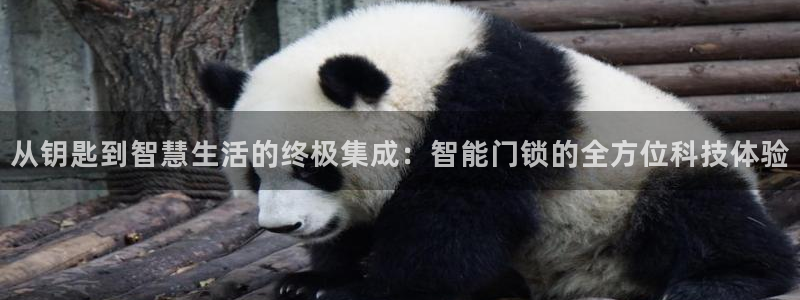 利记体育手机版官网：从钥匙到智慧生活的终极集成：智能门锁的全