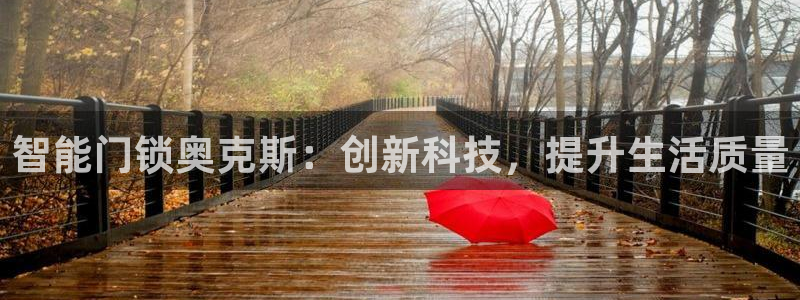 利记官网注册网：智能门锁奥克斯：创新科技，提升生活质量