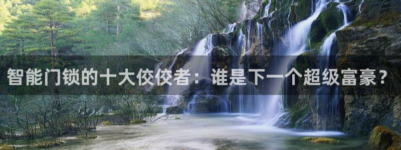利记官网登录入口：智能门锁的十大佼佼者：谁是下一个超级富豪？