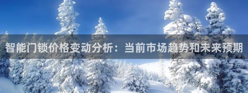 利记二手车行官网：智能门锁价格变动分析：当前市场趋势和未来预