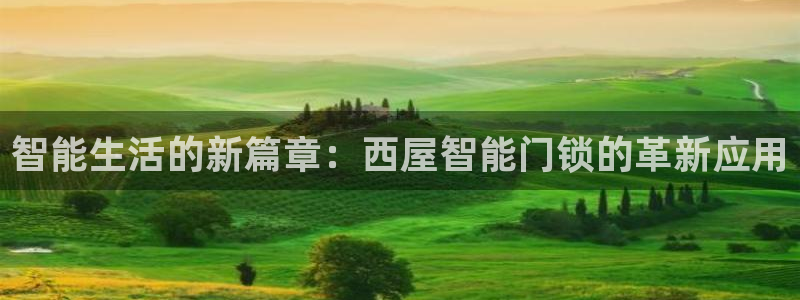利记官网日亚运比：智能生活的新篇章：西屋智能门锁的革新应用