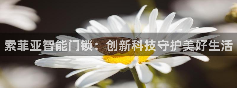 利记体育官网首页：索菲亚智能门锁：创新科技守护美好生活