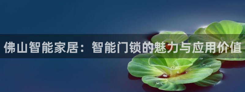 利记手机官网bb电子平台官方：佛山智能家居：智能门锁的魅力与