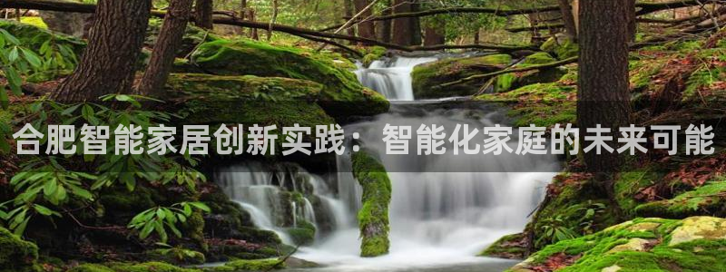 利记平台官网：合肥智能家居创新实践：智能化家庭的未来可能
