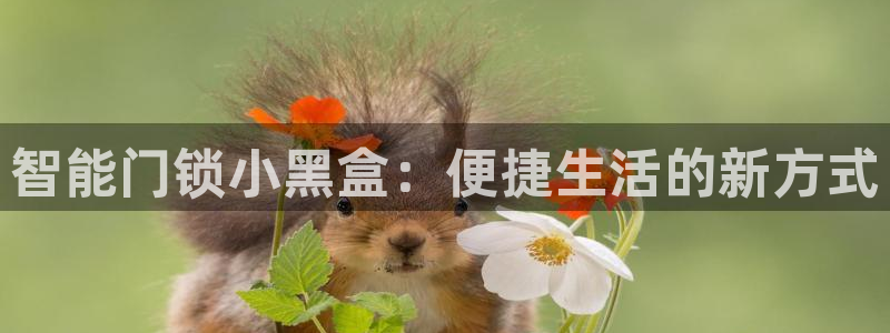 香港利记集团官网旗舰店：智能门锁小黑盒：便捷生活的新方式