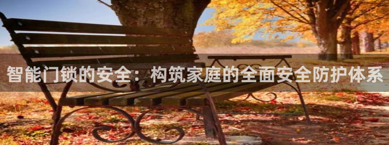 利记足球官网：智能门锁的安全：构筑家庭的全面安全防护体系