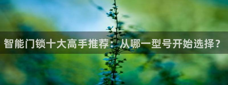 利记手机官网银河网：智能门锁十大高手推荐：从哪一型号开始选择