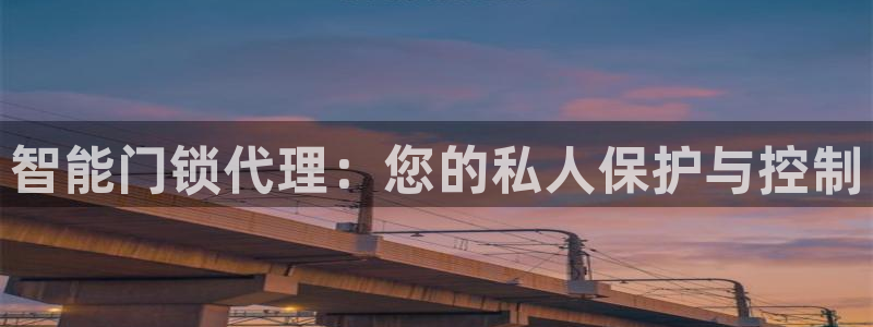 利记手机官网银河网：智能门锁代理：您的私人保护与控制