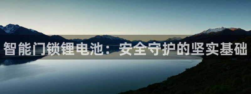 铂利记旗舰店官网电话：智能门锁锂电池：安全守护的坚实基础