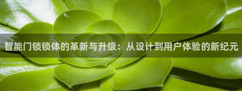 利记信誉官网：智能门锁锁体的革新与升级：从设计到用户体验的新