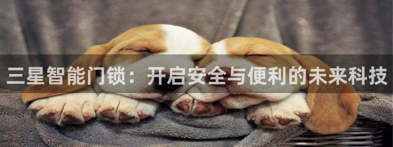 利记官网是多少：三星智能门锁：开启安全与便利的未来科技