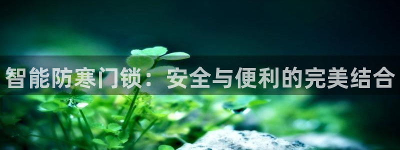 sbobet利记官网登录入口：智能防寒门锁：安全与便利的完美