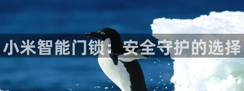 利记sbobet官网：小米智能门锁：安全守护的选择