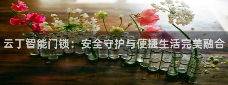 利记官网加盟：云丁智能门锁：安全守护与便捷生活完美融合