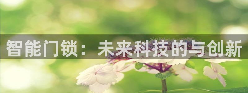利记平台官网首页：智能门锁：未来科技的与创新