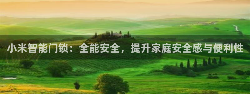 利记彩票导航网址官网hd71：小米智能门锁：全能安全，提升家