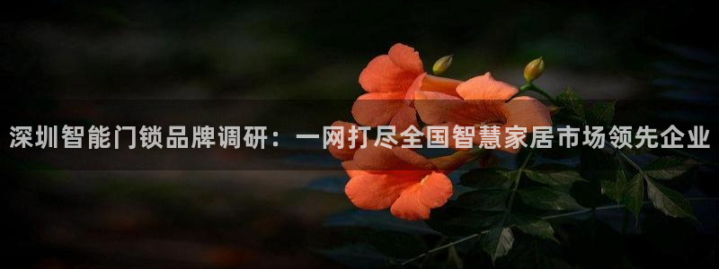 利记官网app下载网址日博官网网址：深圳智能门锁品牌调研：一