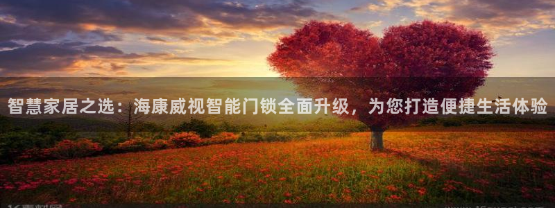 利记官网app下载：智慧家居之选：海康威视智能门锁全面升级，