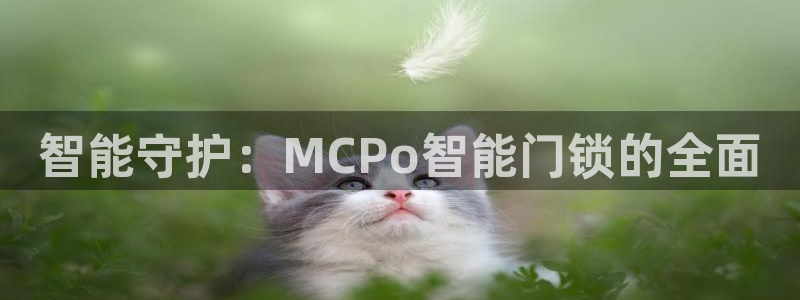 利记正式官网：智能守护：MCPo智能门锁的全面