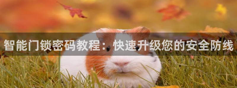 香港利记集团官网地址：智能门锁密码教程：快速升级您的安全防线