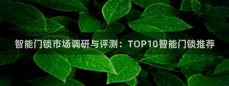 利记官网会员登录：智能门锁市场调研与评测：TOP10智能门锁