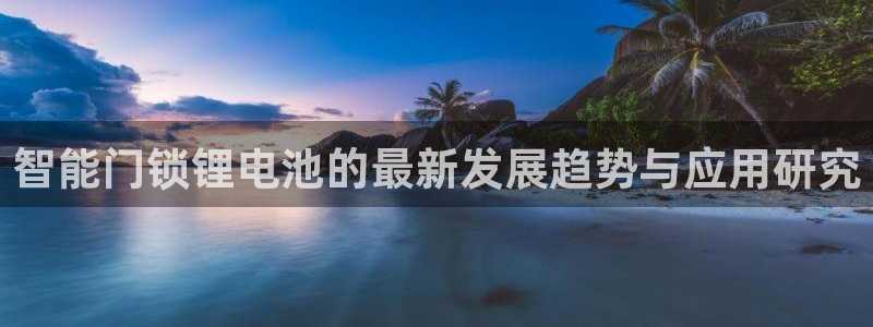 利记官网app：智能门锁锂电池的最新发展趋势与应用研究