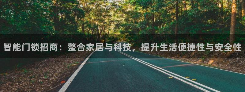 利记88官网app：智能门锁招商：整合家居与科技，提升生活便