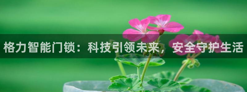 利记官网在线投注：格力智能门锁：科技引领未来，安全守护生活