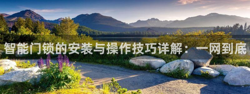 利记官网官方网址：智能门锁的安装与操作技巧详解：一网到底