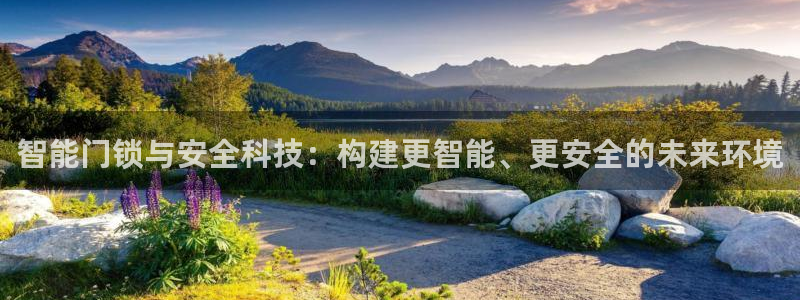 利记彩票官网wx678 com：智能门锁与安全科技：构建更智